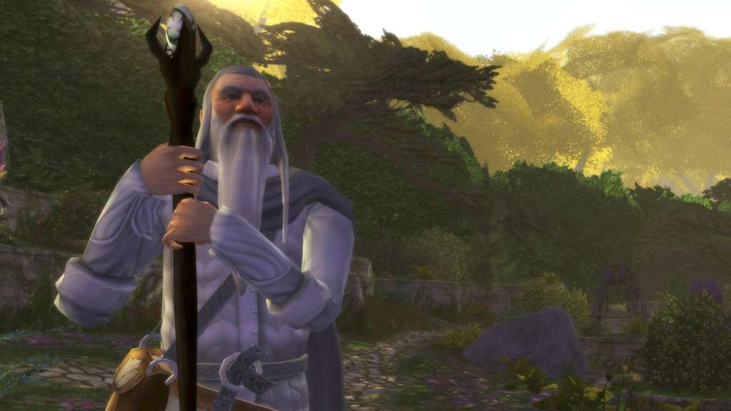 The Lord of the Rings Online 800 LOTRO Point EU Code 10.06 $