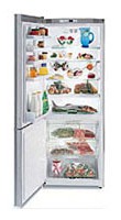 Gaggenau RB 272-250 Tủ lạnh ảnh