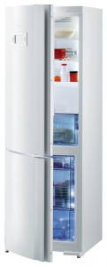 Gorenje RK 67325 W šaldytuvas nuotrauka