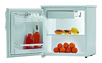 Gorenje R 0907 BAC Refrigerator larawan