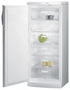Gorenje F 6248 W Tủ lạnh ảnh