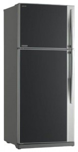 Toshiba GR-RG70UD-L (GU) Холодильник Фото