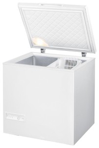 Gorenje FH 210 W Tủ lạnh ảnh