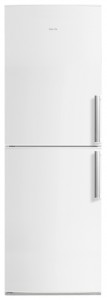 ATLANT ХМ 6323-100 Tủ lạnh ảnh