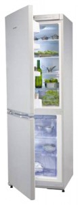 Snaige RF360-1881А Tủ lạnh ảnh