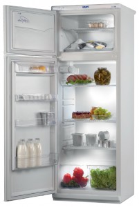 Pozis Мир 244-1 Refrigerator larawan