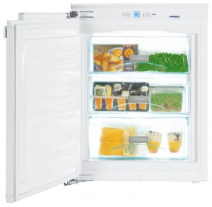 Liebherr IG 1014 Холодильник Фото