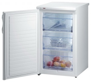 Gorenje F 50106 W Холодильник фото