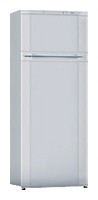 NORD 241-6-325 Холодильник Фото
