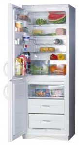 Snaige RF310-1803A Refrigerator larawan