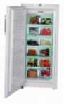 Liebherr GNP 31560 Холодильник