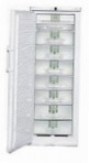 Liebherr GSNP 3326 Kühlschrank