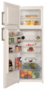 BEKO DS 233020 Холодильник Фото