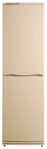 ATLANT ХМ 6025-081 Refrigerator larawan