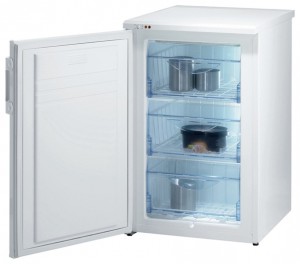 Gorenje F 54100 W Холодильник фото
