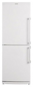 Blomberg KSM 1640 A+ Холодильник фото