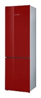 Snaige RF36SM-P1АH22R Refrigerator larawan
