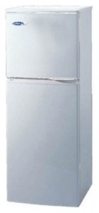 Evgo ER-1801M Холодильник Фото