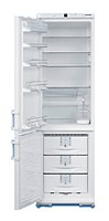 Liebherr KGT 4066 Холодильник фото