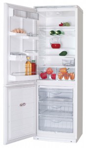 ATLANT ХМ 6019-012 Холодильник фото