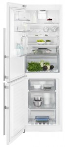 Electrolux EN 93458 MW Fridge Photo