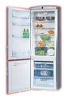 Hansa RFAK310iMA Холодильник Фото