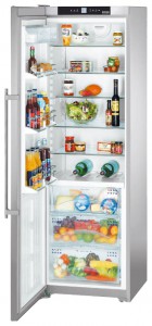 Liebherr SKBes 4210 Fridge Photo