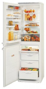 ATLANT МХМ 1805-01 Tủ lạnh ảnh
