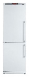Blomberg KKD 1650 Холодильник Фото