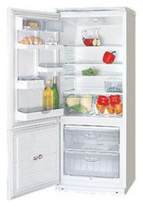ATLANT ХМ 4009-013 Tủ lạnh ảnh