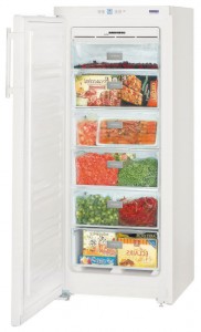 Liebherr GN 2323 Холодильник Фото
