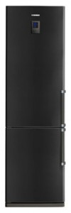 Samsung RL-41 ECTB Холодильник фото