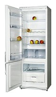 Snaige RF315-1T03А Tủ lạnh ảnh