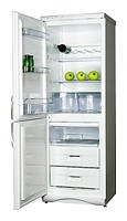 Snaige RF310-1T03A Refrigerator larawan