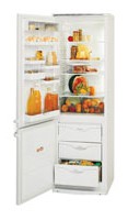 ATLANT МХМ 1704-03 Холодильник фото