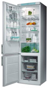 Electrolux ERB 9041 Refrigerator larawan
