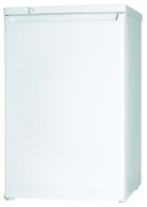 Leran FSF 092 W Refrigerator larawan