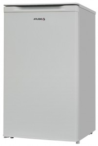 Delfa BD-80 Fridge Photo