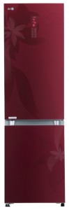 LG GA-B489 TGRF Refrigerator larawan