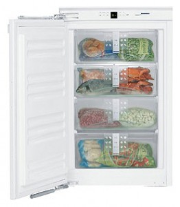 Liebherr IG 1156 Холодильник Фото