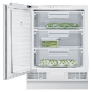 Gaggenau RF 200-202 Tủ lạnh ảnh