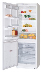 ATLANT ХМ 5091-016 Холодильник Фото
