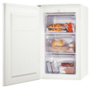 Zanussi ZFT 307 MW1 Холодильник Фото
