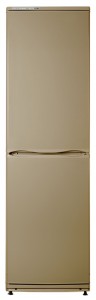 ATLANT ХМ 6025-150 Tủ lạnh ảnh