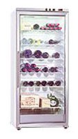 Gaggenau SK 211-141 Tủ lạnh ảnh