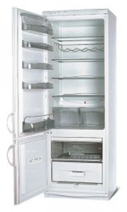 Snaige RF315-1703A Холодильник Фото
