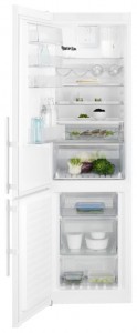 Electrolux EN 93852 KW Refrigerator larawan