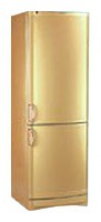 Vestfrost BKF 404 B40 Gold Холодильник фото