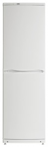 ATLANT ХМ 6023-100 Refrigerator larawan