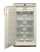 Liebherr GSN 2023 Tủ lạnh ảnh